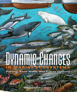 Dynamic Changes in Marine Ecosystems: Fishing, Food Webs, and Future Options eBook