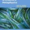 An Introduction to Metaphysics, 1st Edition eBook