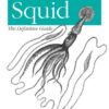 Squid: The Definitive Guide: The Definitive Guide, 1st Edition eBook