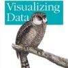 Visualizing Data: Exploring and Explaining Data with the Processing Environment, 1st Edition eBook