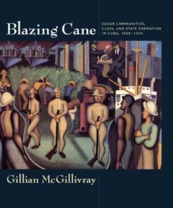 Blazing Cane: Sugar Communities, Class, and State Formation in Cuba, 1868–1959 eBook