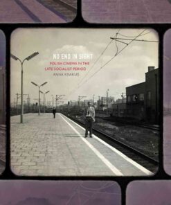 No End in Sight: Polish Cinema in the Late Socialist Period eBook