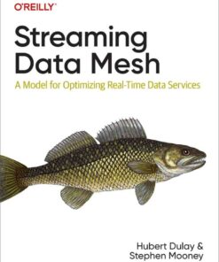 Streaming Data Mesh: A Model for Optimizing Real-Time Data Services, 1st Edition eBook