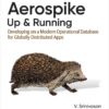 Aerospike: Up and Running: Developing on a Modern Operational Database for Globally Distributed Apps, 1st Edition eBook