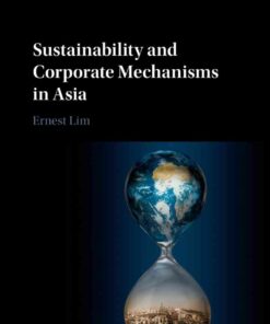 Sustainability and Corporate Mechanisms in Asia eBook