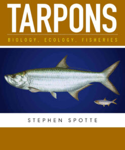 Tarpons: Biology, Ecology, Fisheries, 1st Edition eBook