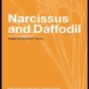 Narcissus and DaffodilThe Genus Narcissus, 1st Edition eBook