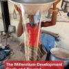 The Millennium Development Goals and Beyond: Global Development after 2015, 1st Edition eBook