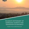 Palgrave Dictionary of Emerging Markets and Transition Economics eBook