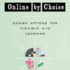 Online by Choice: Design Options for Flexible K-12 Learning, 1st Edition eBook