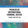 Principled International Criminal Justice: Lessons from Tort Law, 1st Edition eBook