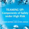 Teaming Up: Components of Safety Under High Risk, 1st Edition eBook