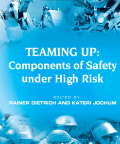 Teaming Up: Components of Safety Under High Risk, 1st Edition eBook