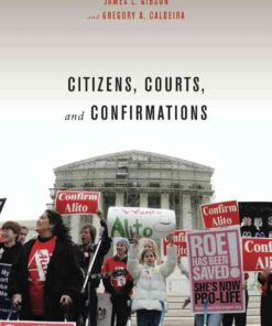 Citizens, Courts, and Confirmations: Positivity Theory and the Judgments of the American People eBook