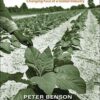 Tobacco Capitalism: Growers, Migrant Workers, and the Changing Face of a Global Industry eBook
