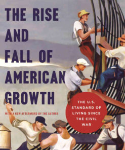 The Rise and Fall of American Growth: The U.S. Standard of Living since the Civil War eBook