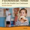 Meeting Children's Psychosocial Needs Across the Health-Care Continuum, 2nd Edition eBook