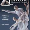 Collecting Lladro: Identification & Price Guide eBook