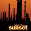 Industrial Sunset: The Making of North America's Rust Belt, 1969-1984, 1st Edition eBook