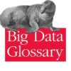 Big Data Glossary: A Guide to the New Generation of Data Tools, 1st Edition eBook