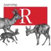 Learning R: A Step-by-Step Function Guide to Data Analysis, 1st Edition eBook