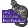 Java Database Best Practices: Persistence Models and Techniques for Java Database Programming, 1st Edition eBook