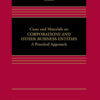Cases and Materials on Corporations and Other Business Entities: A Practical Approach eBook