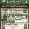 Panic Scrip of 1893, 1907 and 1914: An Illustrated Catalog of Emergency Monetary Issues eBook
