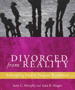 Divorced from Reality: Rethinking Family Dispute Resolution eBook