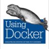 Using Docker: Developing and Deploying Software with Containers, 1st Edition eBook