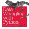 Data Wrangling with Python: Tips and Tools to Make Your Life Easier, 1st Edition eBook