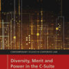 Diversity, Merit and Power in the C-Suite, 1st Edition eBook