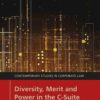 Diversity, Merit and Power in the C-Suite, 1st Edition eBook