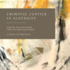 Criminal Justice in Austerity: Legal Aid, Prosecution and the Future of Criminal Legal Practice, 1st Edition eBook