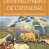 The Undevelopment of Capitalism: Sectors and Markets in Fifteenth-Century Tuscany eBook