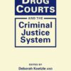 Drug Courts and the Criminal Justice System, 1st Edition eBook