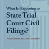 What Is Happening to State Trial Court Civil Filings? eBook