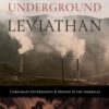 Underground Leviathan: Corporate Sovereignty and Mining in the Americas eBook