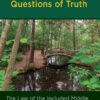 Liminality in Questions of Truth: The Law of the Included Middle, 1st Edition eBook