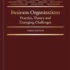 Business Organizations: Practice, Theory and Emerging Challenges, 3rd Edition eBook