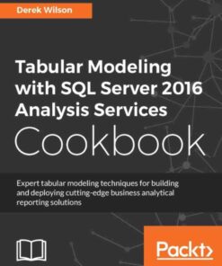 Tabular Modeling with SQL Server 2016 Analysis Services Cookbook, 1st Edition eBook