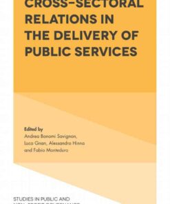 Cross-Sectoral Relations in the Delivery of Public Services eBook