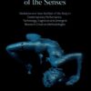 Through the Prism of the Senses: Mediation and New Realities of the Body in Contemporary Performance. Technology, Cognition and Emergent Research-Creation Methodologies, 1st Edition eBook