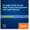 An Agile Crash Course: Agile Project Management and Agile Delivery, 1st Edition eBook