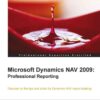 Microsoft Dynamics NAV 2009: Professional Reporting: Professional Reporting, 1st Edition eBook