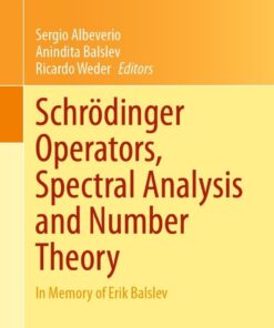 Schrödinger Operators, Spectral Analysis and Number Theory: In Memory of Erik Balslev eBook