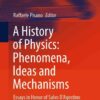 A History of Physics: Phenomena, Ideas and Mechanisms: Essays in Honor of Salvo D'Agostino eBook