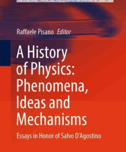 A History of Physics: Phenomena, Ideas and Mechanisms: Essays in Honor of Salvo D'Agostino eBook