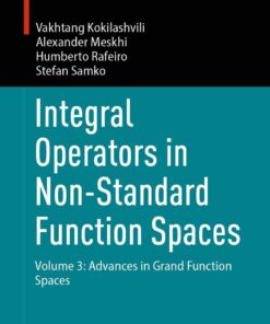 Integral Operators in Non-Standard Function Spaces: Volume 3: Advances in Grand Function Spaces eBook
