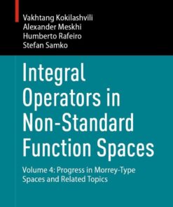 Integral Operators in Non-Standard Function Spaces: Volume 4: Progress in Morrey-Type Spaces and Related Topics eBook